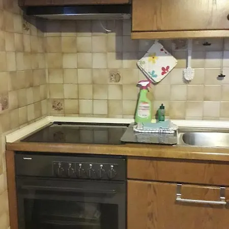 Ferienhaus Roslau Apartment